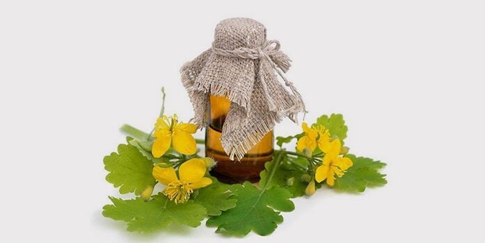 aceite de celidonia para fungos dos pés